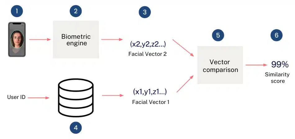 comparación biometrica