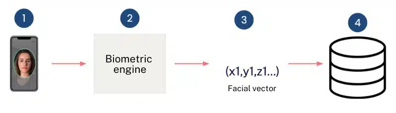 como funciona la biometria