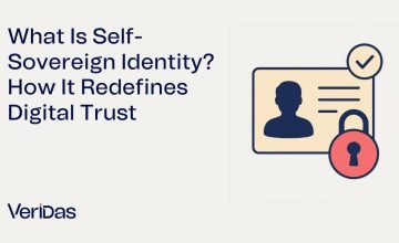Self-Sovereign Identity
